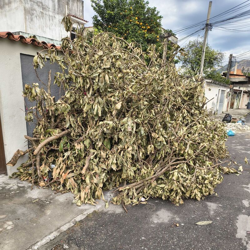 Imagem da publicação