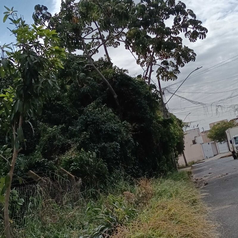 Imagem da publicação
