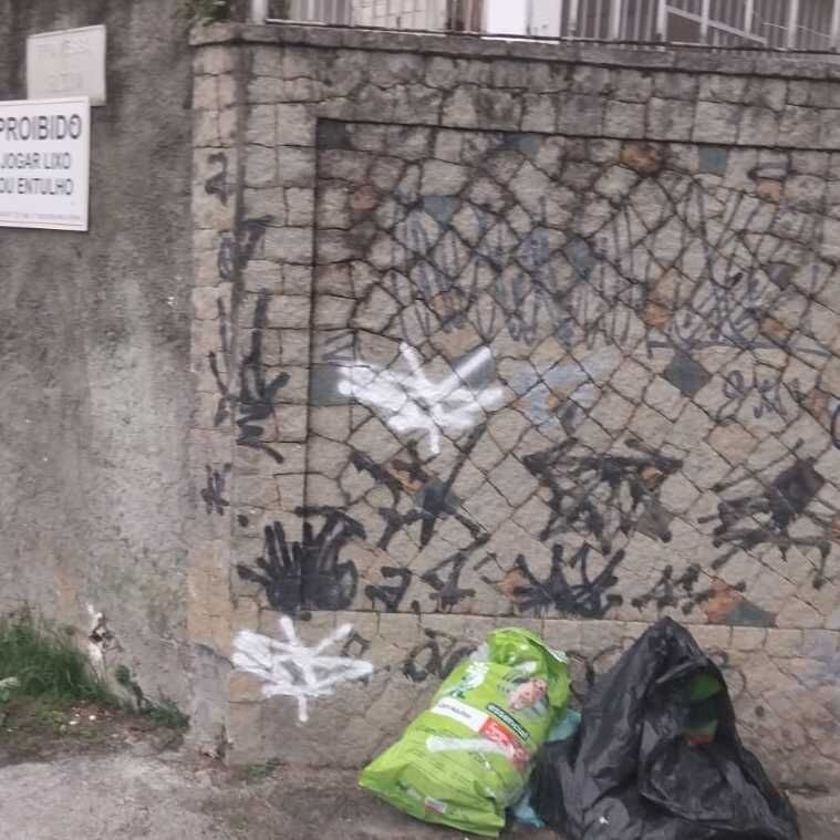 Imagem da publicação
