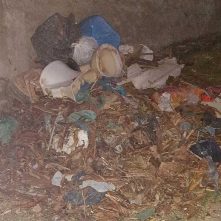 Imagem da publicação