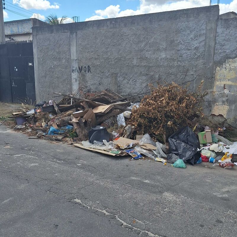 Imagem da publicação