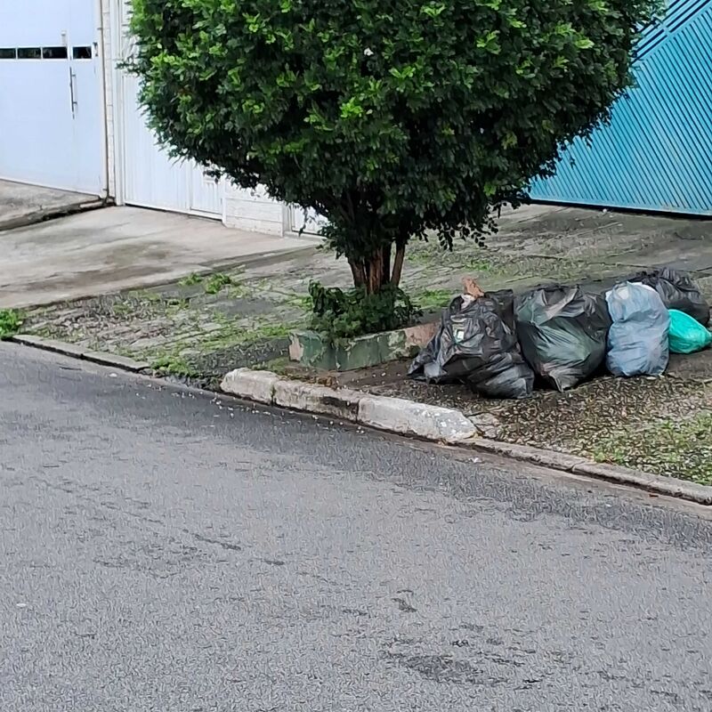 Imagem da publicação