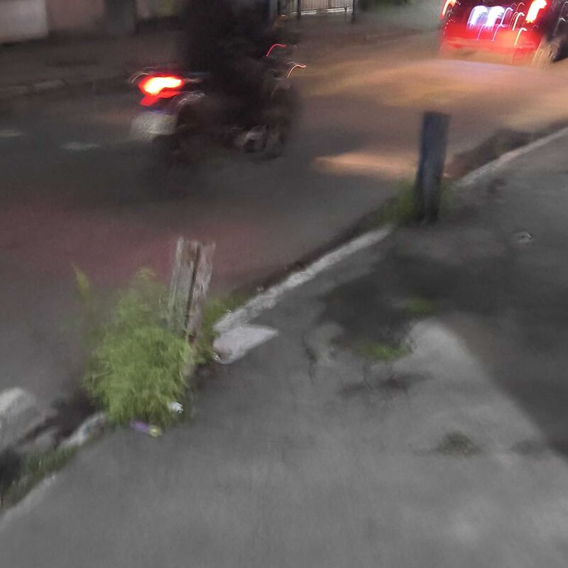 Imagem da publicação