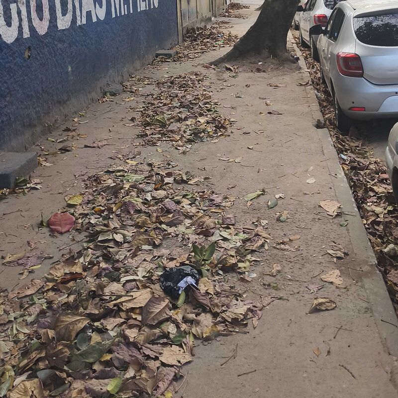 Imagem da publicação