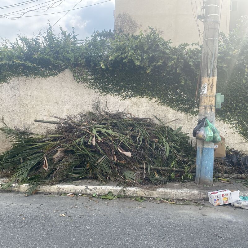 Imagem da publicação