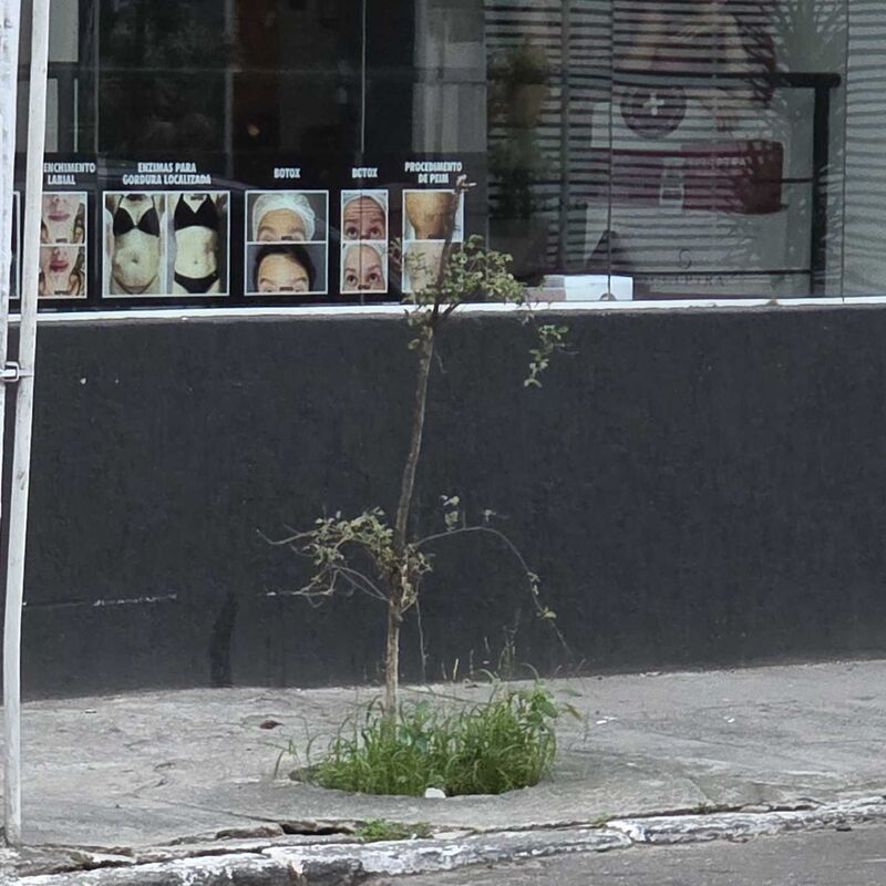 Imagem da publicação