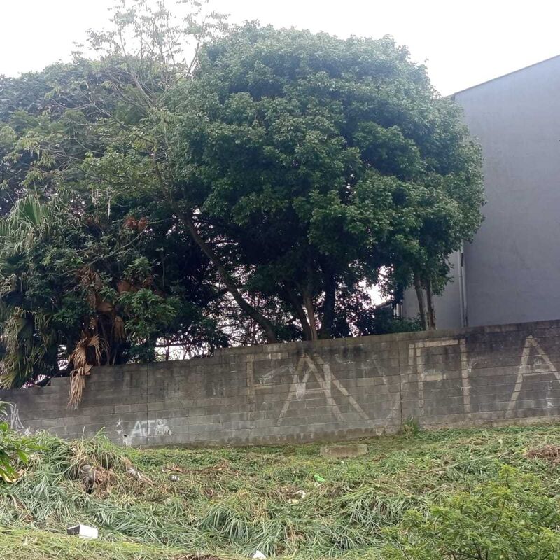 Imagem da publicação