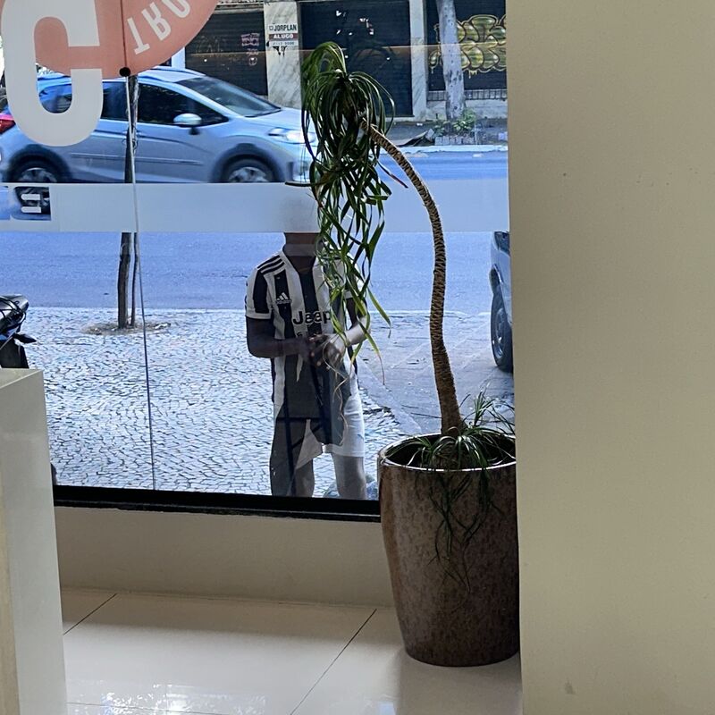 Imagem da publicação