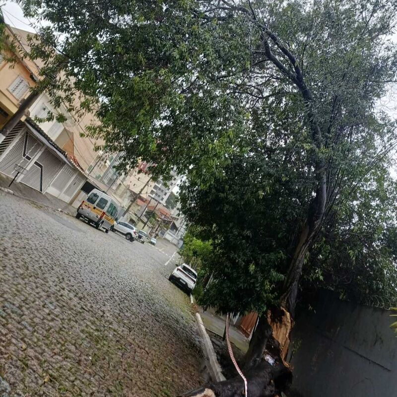 Imagem da publicação