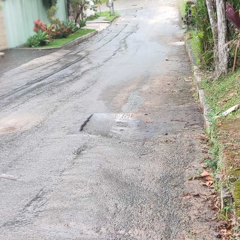 Imagem da publicação