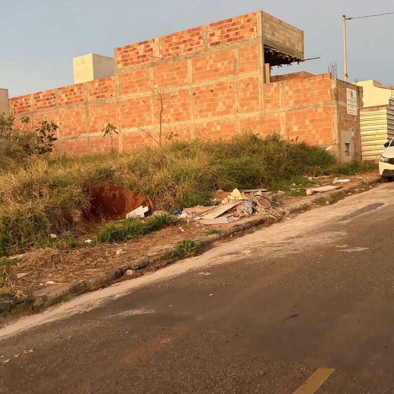 Imagem da publicação