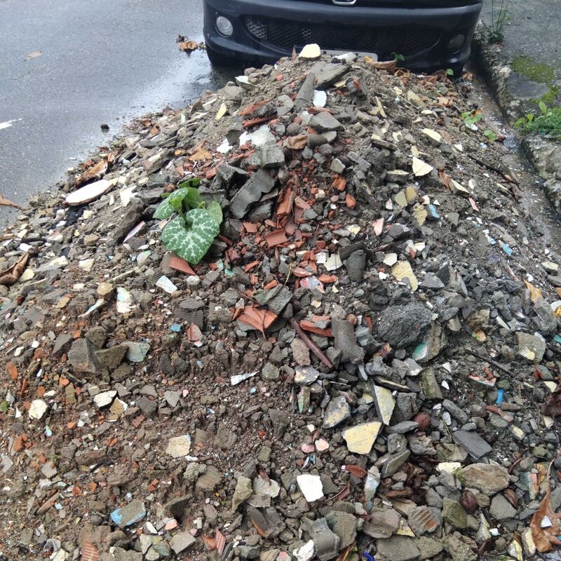 Imagem da publicação