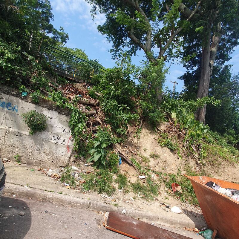 Imagem da publicação