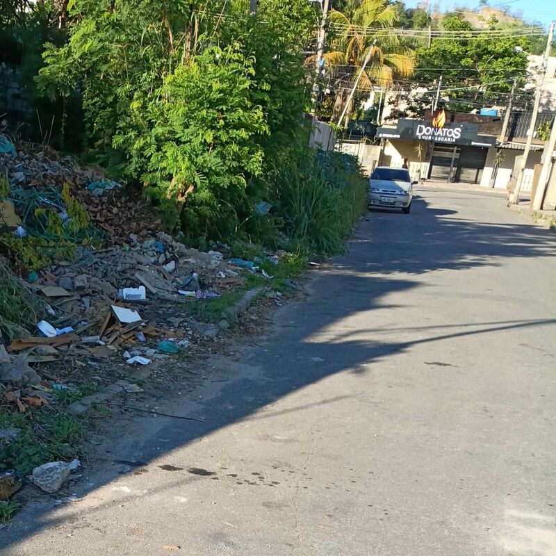 Imagem da publicação