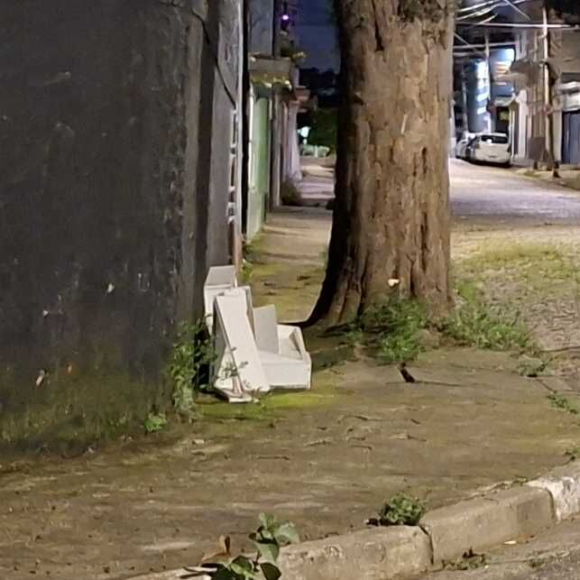 Imagem da publicação