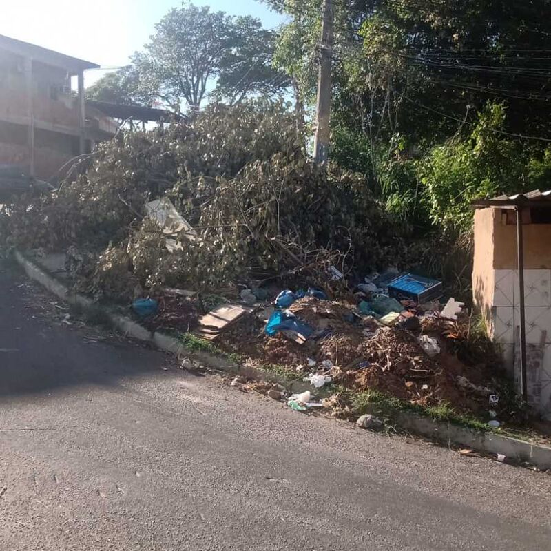 Imagem da publicação