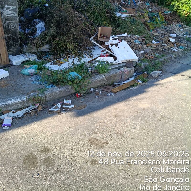 Imagem da publicação