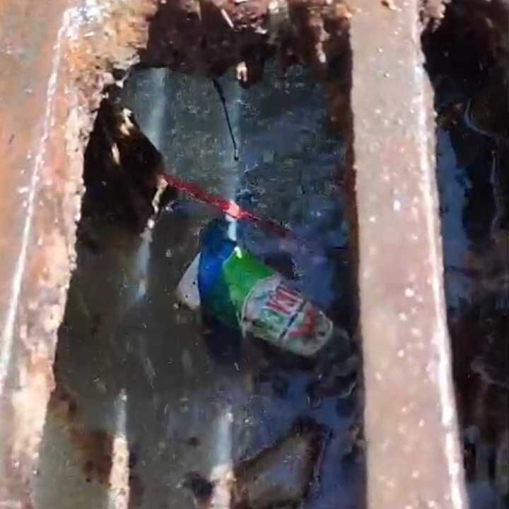 Imagem da publicação