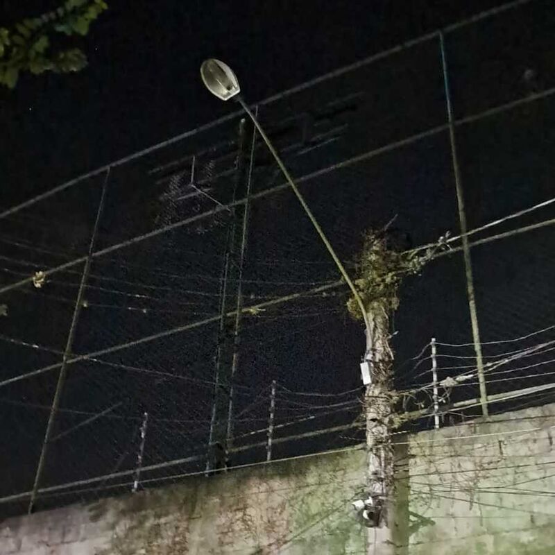 Imagem da publicação