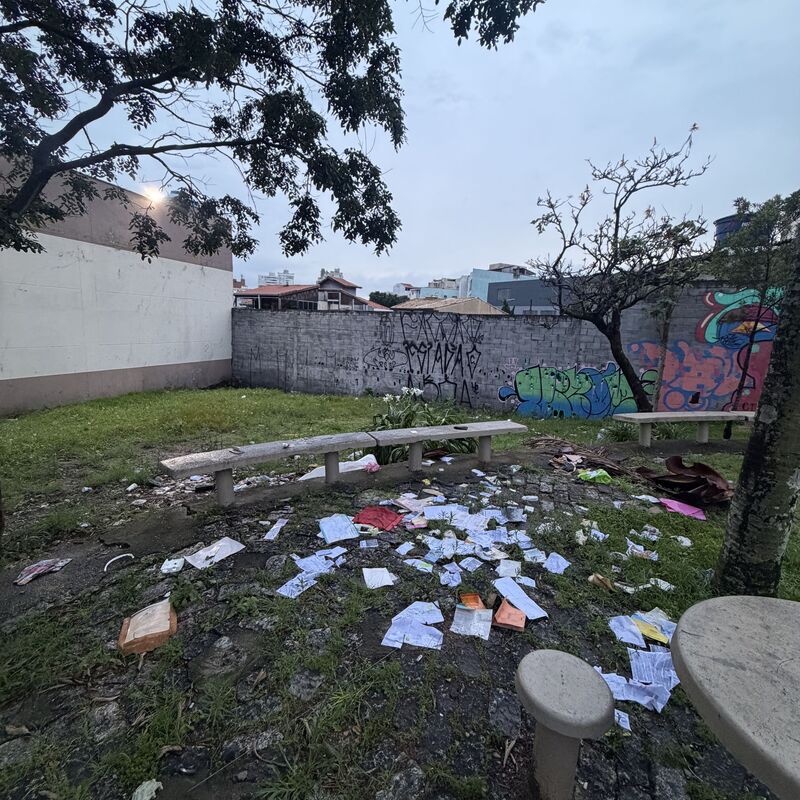 Imagem da publicação