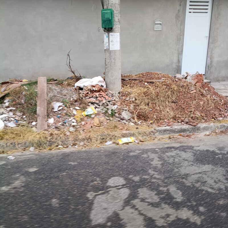 Imagem da publicação