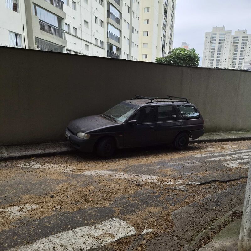 Imagem da publicação