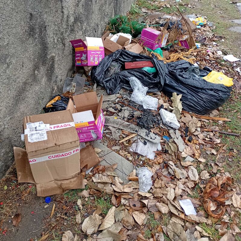Imagem da publicação