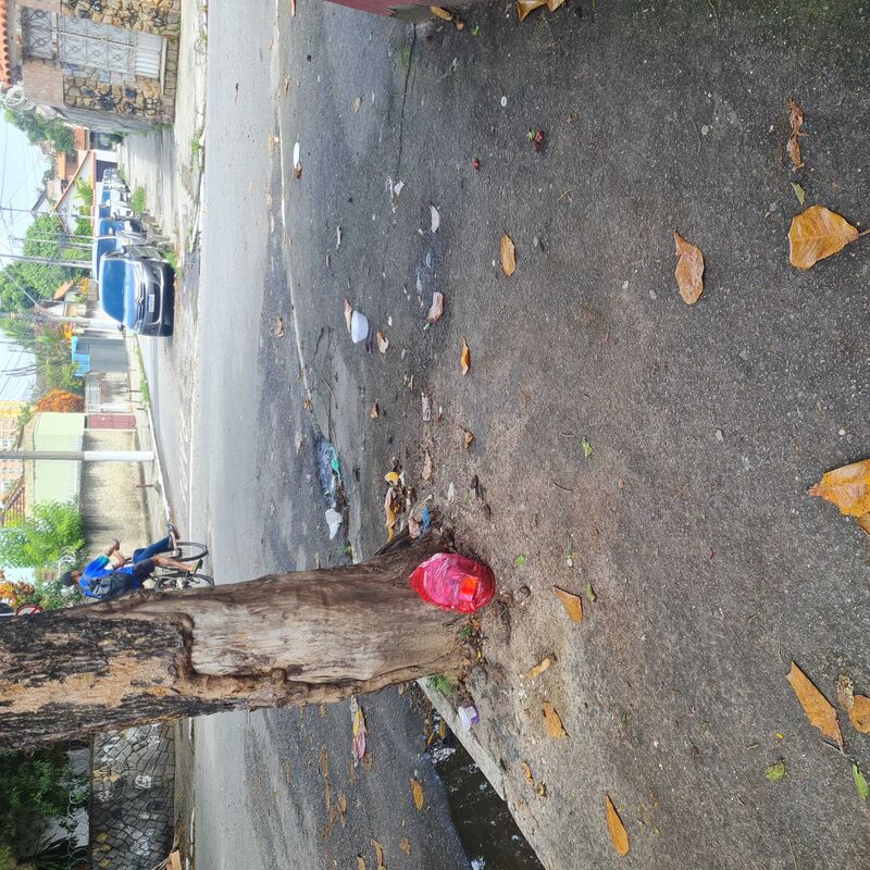 Imagem da publicação