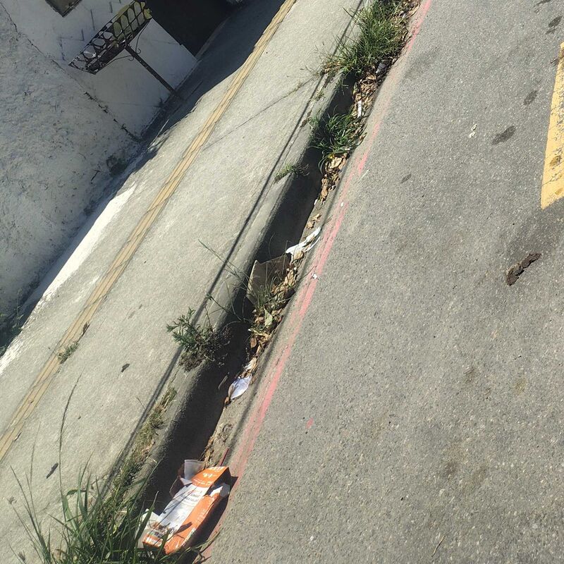 Imagem da publicação