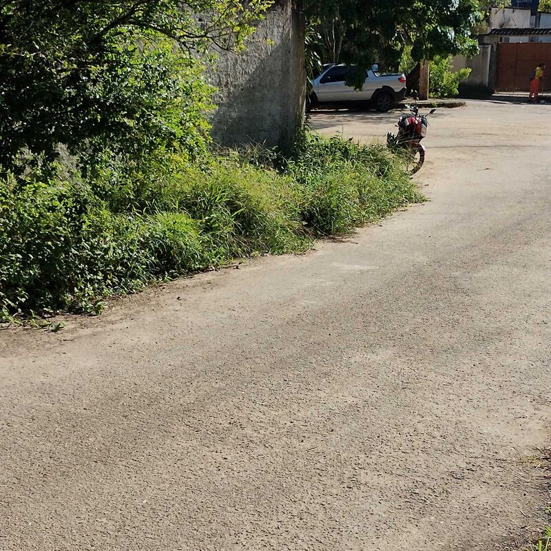 Imagem da publicação