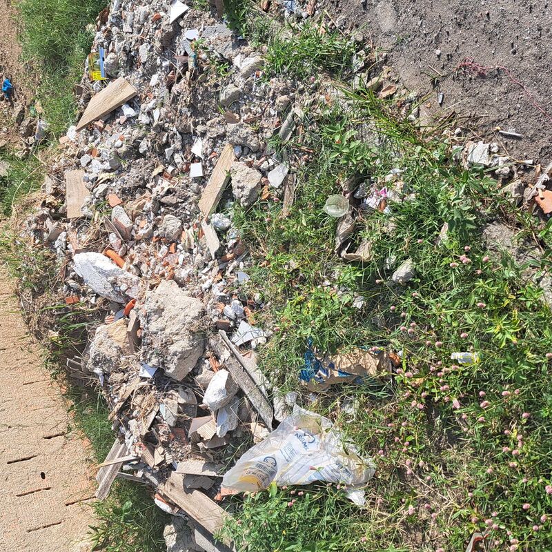 Imagem da publicação