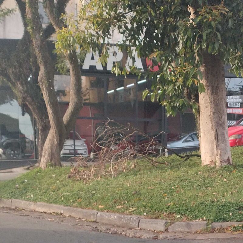 Imagem da publicação
