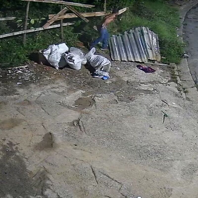 Imagem da publicação