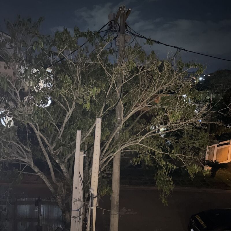 Imagem da publicação