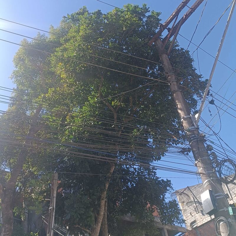 Imagem da publicação