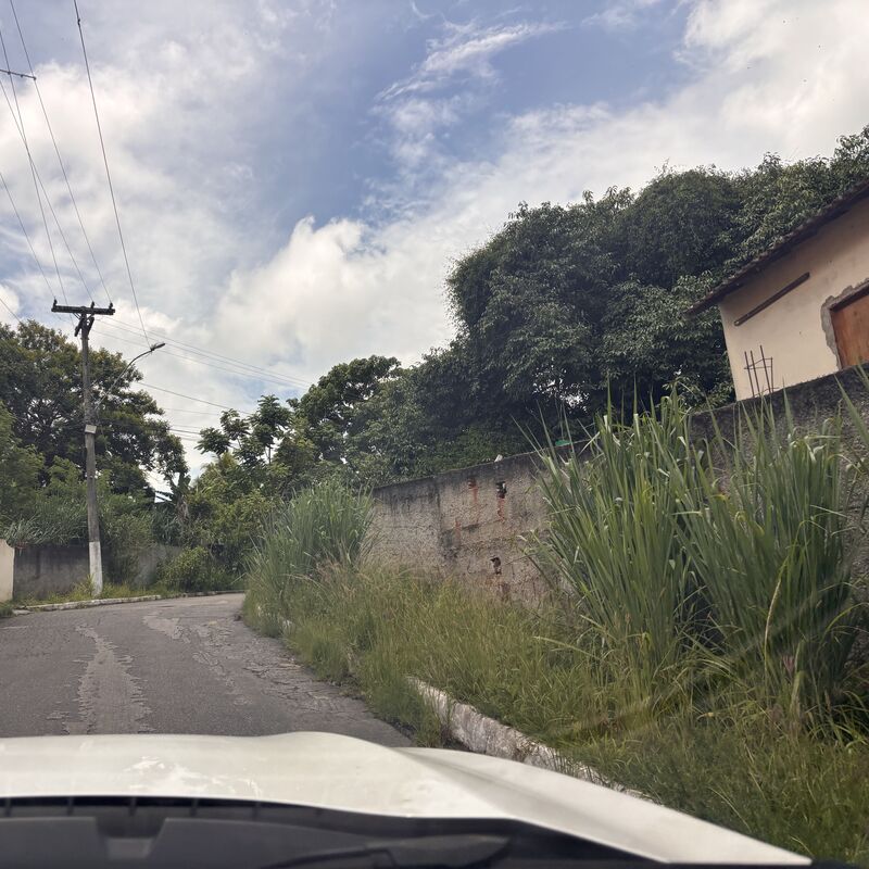 Imagem da publicação