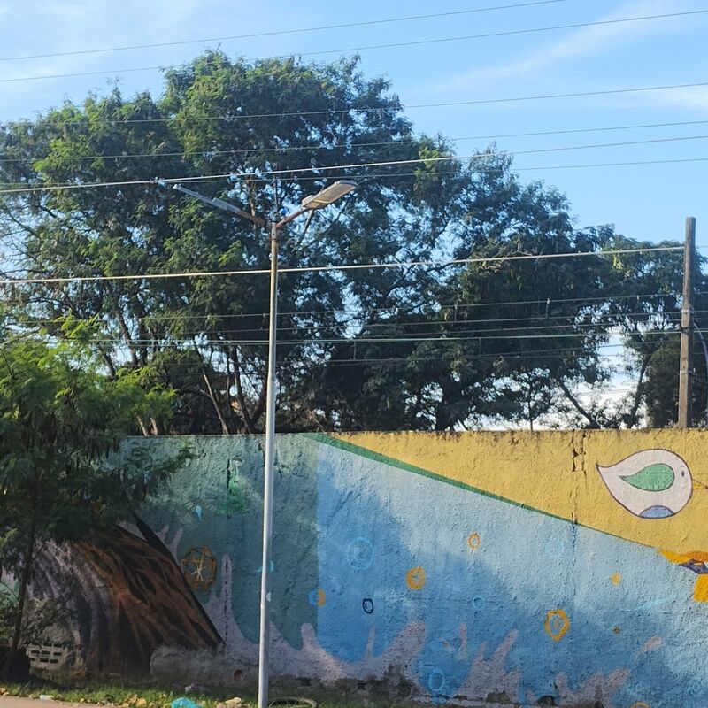 Imagem da publicação