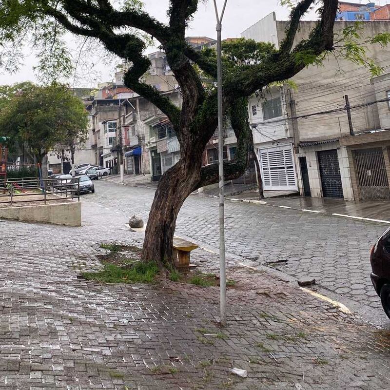 Imagem da publicação