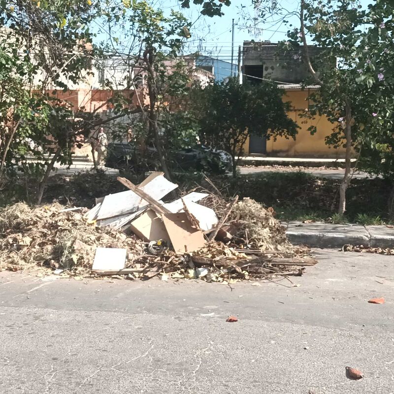 Imagem da publicação