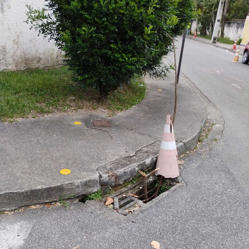 Imagem da publicação