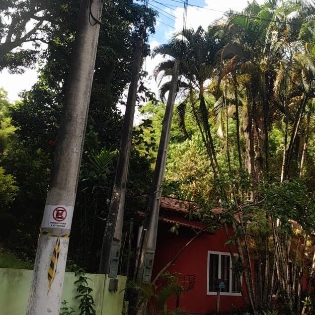 Imagem da publicação