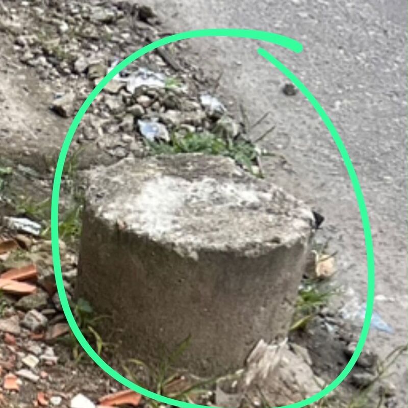 Imagem da publicação