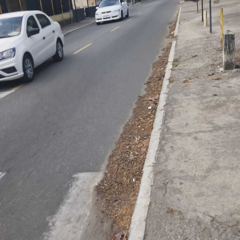Imagem da publicação