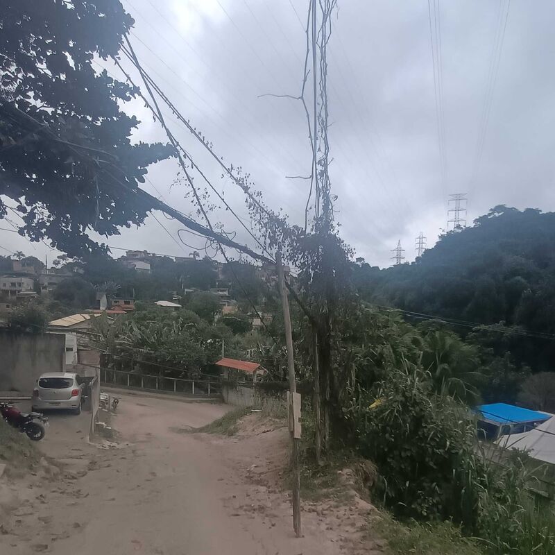 Imagem da publicação