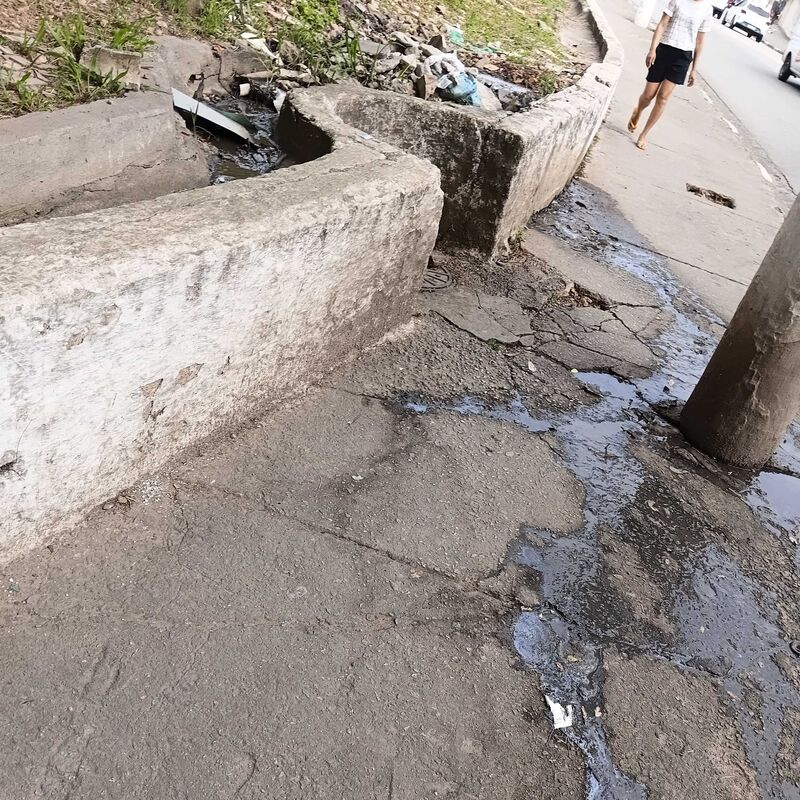 Imagem da publicação
