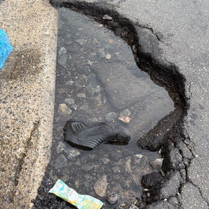 Imagem da publicação