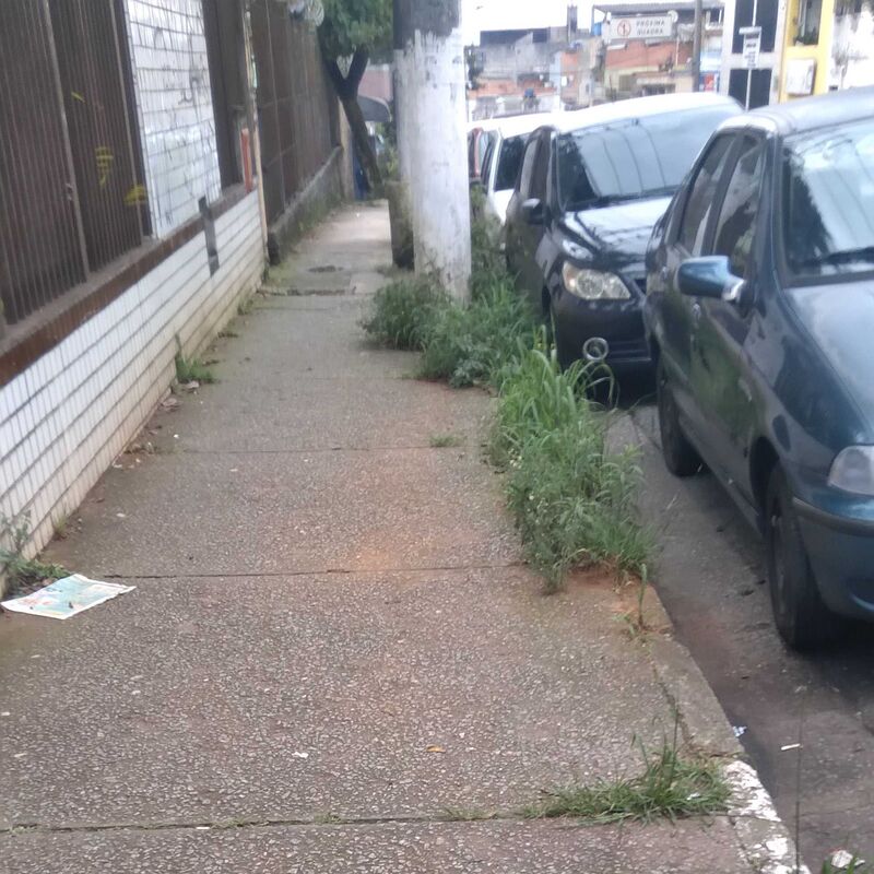 Imagem da publicação