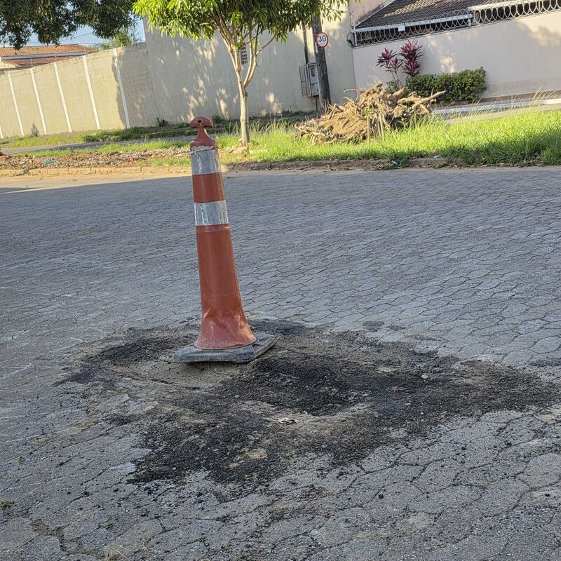 Imagem da publicação