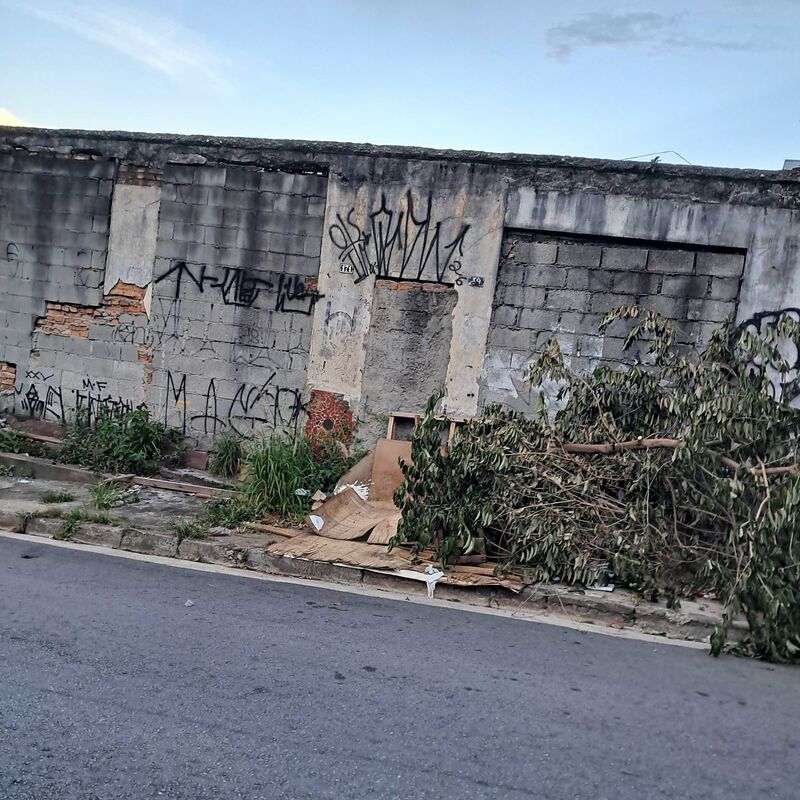 Imagem da publicação