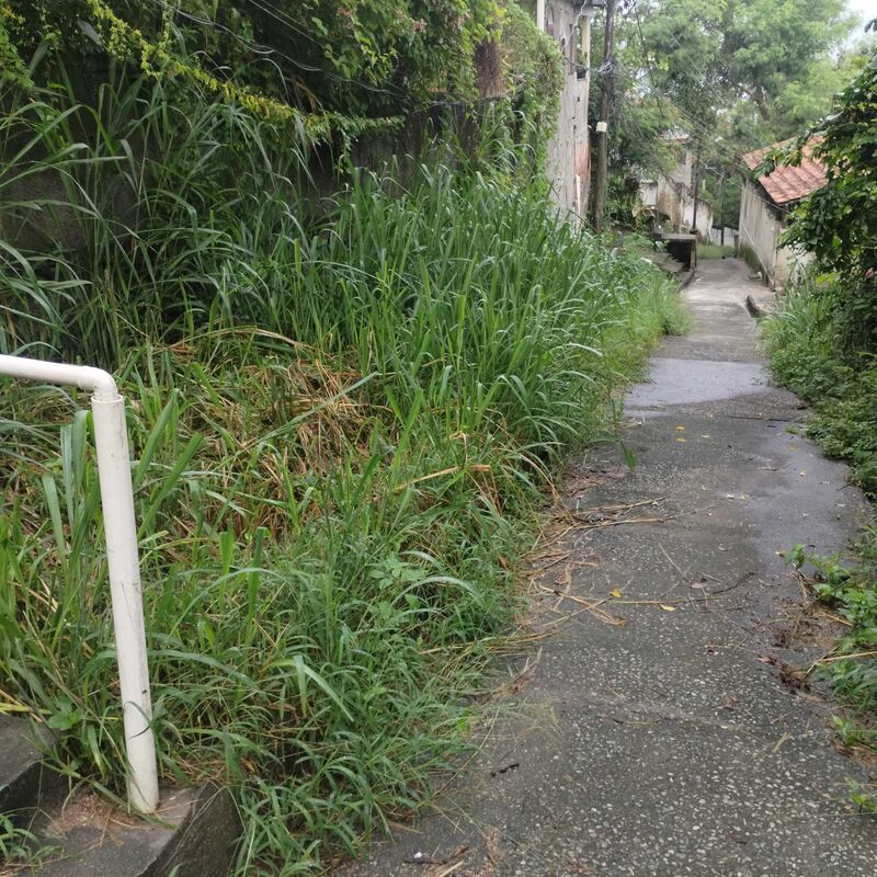 Imagem da publicação